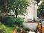 Immagine 25