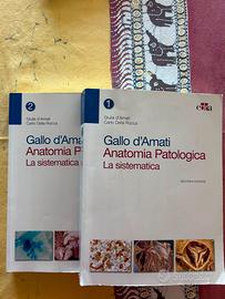 Libri universitari