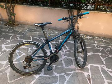 Bicicletta Mtb ragazzi/e lombardo tropea 24