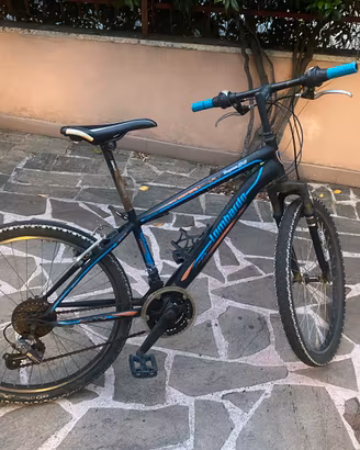 Bicicletta Mtb ragazzi/e lombardo tropea 24