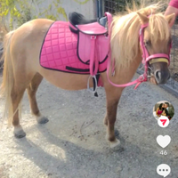 Mini pony