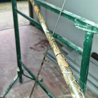 coppia di canne MILO carpfisshing 