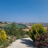 Terreno con struttura Pensione/Allevamento per can