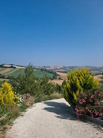 Terreno con struttura Pensione/Allevamento per can