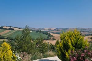 Terreno con struttura Pensione/Allevamento per can