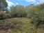 Immagine 6