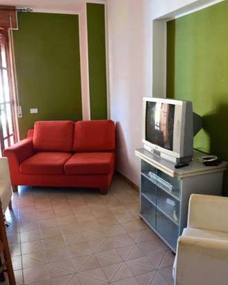 Tortora mare 29 agosto- 5 Settembre