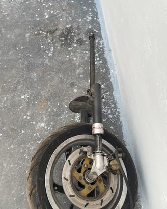 FORCELLE RUNNER