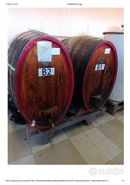 BOTTE IN LEGNO STORICHE OVALI DA 500 LT