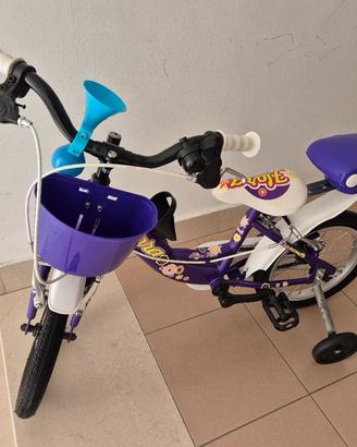 bicicletta