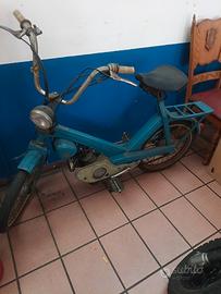 Motom buzz 