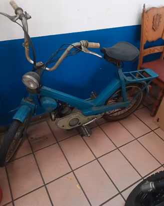 Motom buzz 