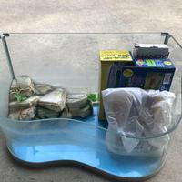 acquario onda ideale per tartarughe