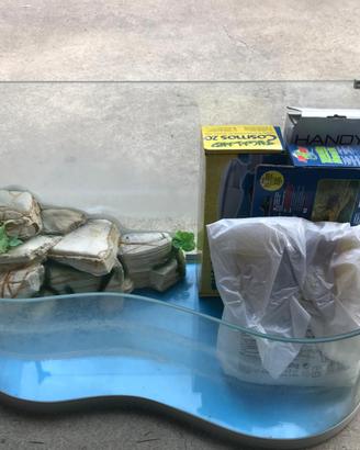 acquario onda ideale per tartarughe