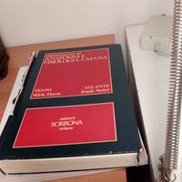 "Fondamenti di anatomia e fisiologia umana"Fiocca