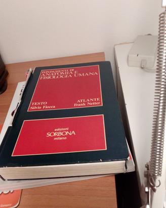 "Fondamenti di anatomia e fisiologia umana"Fiocca