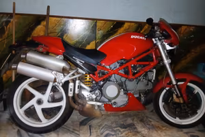 Ducati monster