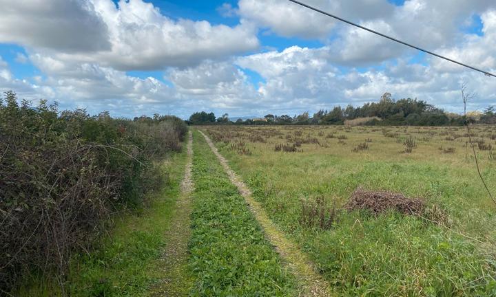 Olmedo terreno edificabile zona F