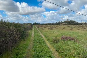 Olmedo terreno edificabile zona F