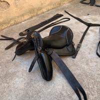 Sella divina piu finimenti.