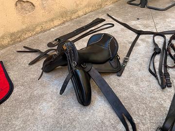 Sella divina piu finimenti.