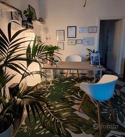 Due stanze per trattamenti professionali olistici