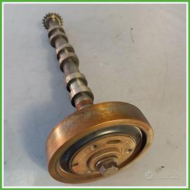 Albero a camme LAND ROVER DISCOVERY 3a Serie 276DT