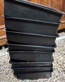 Fondi nido cocorite inglesi nuovi.