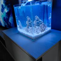 lampada per acquario marino 