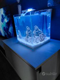 lampada per acquario marino 