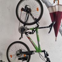 Bicicletta torpado 24 scorpion 