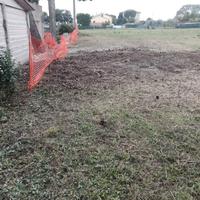 Eseguo lavori vari leggere descrizion?