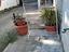 Immagine 4
