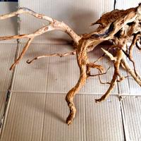 Legno Decorativo x Acquario o Terrario cm 60x42