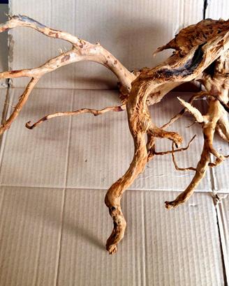 Legno Decorativo x Acquario o Terrario cm 60x42