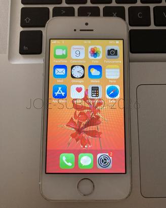 iPhone 5s