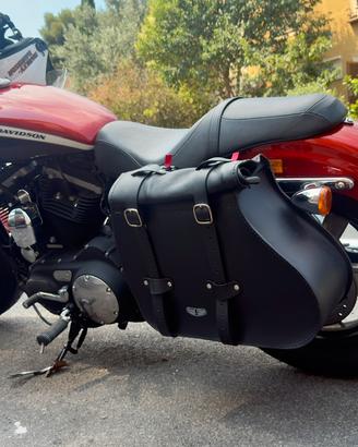 Harley-Davidson Sportster 1200 CA Custom rara