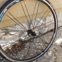 Cerchio bici