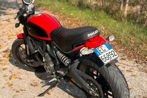 Ducati scrambler 800