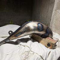 Espansione husqvarna sm 125