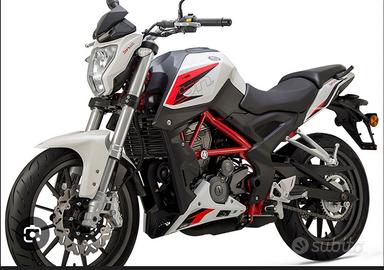 Benelli BN 251