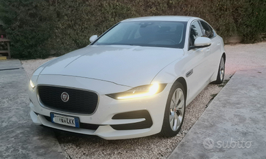 Jagua XE 2.0 d mod Sport