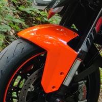 Parafango Ant KTM 1290 SuperDuke R/GT