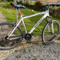 Bicicletta Mtb