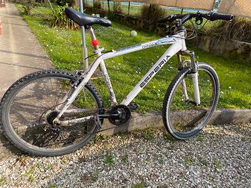 Bicicletta Mtb