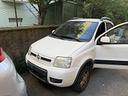 fiat-panda-1-3-mjt-16v-dpf-4x4-climbing
