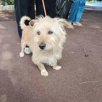 Chicco: 2 anni, taglia piccola