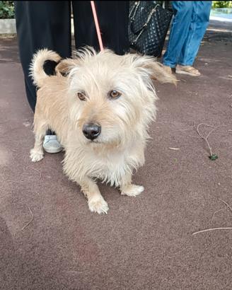 Chicco: 2 anni, taglia piccola