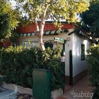 Ascea 26'- 1 ANNO residence 4p in Complesso Resid