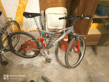 Bicicletta TOPBIKE 260 TSX-24.S